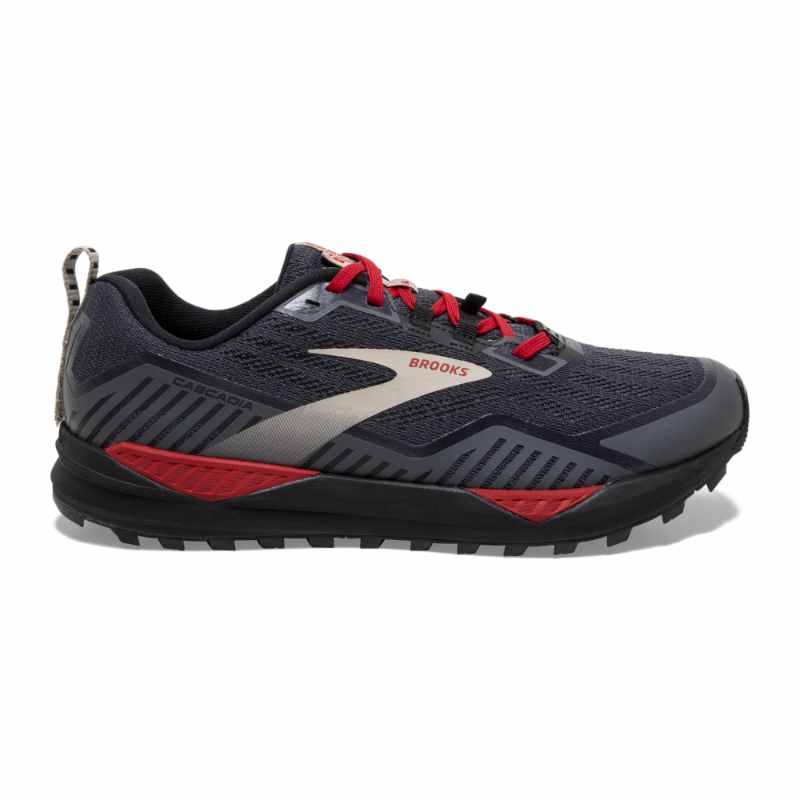 Brooks Cascadia 15 GTX Herren